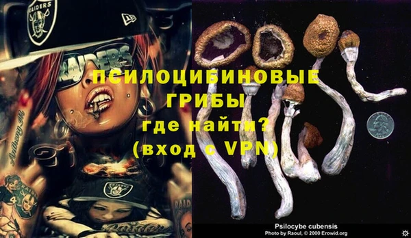 кристаллы Нягань