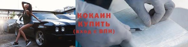 стаф Няндома