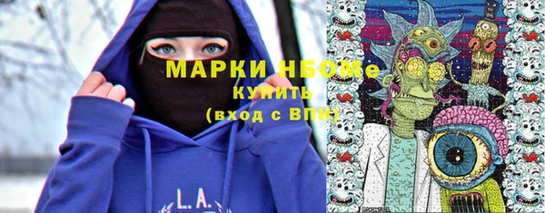 стаф Няндома