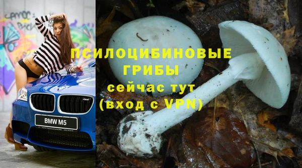 кристаллы Нягань