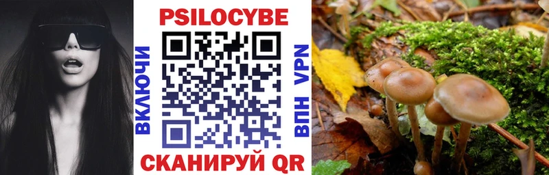 Псилоцибиновые грибы Psilocybine cubensis  mega   Неман 